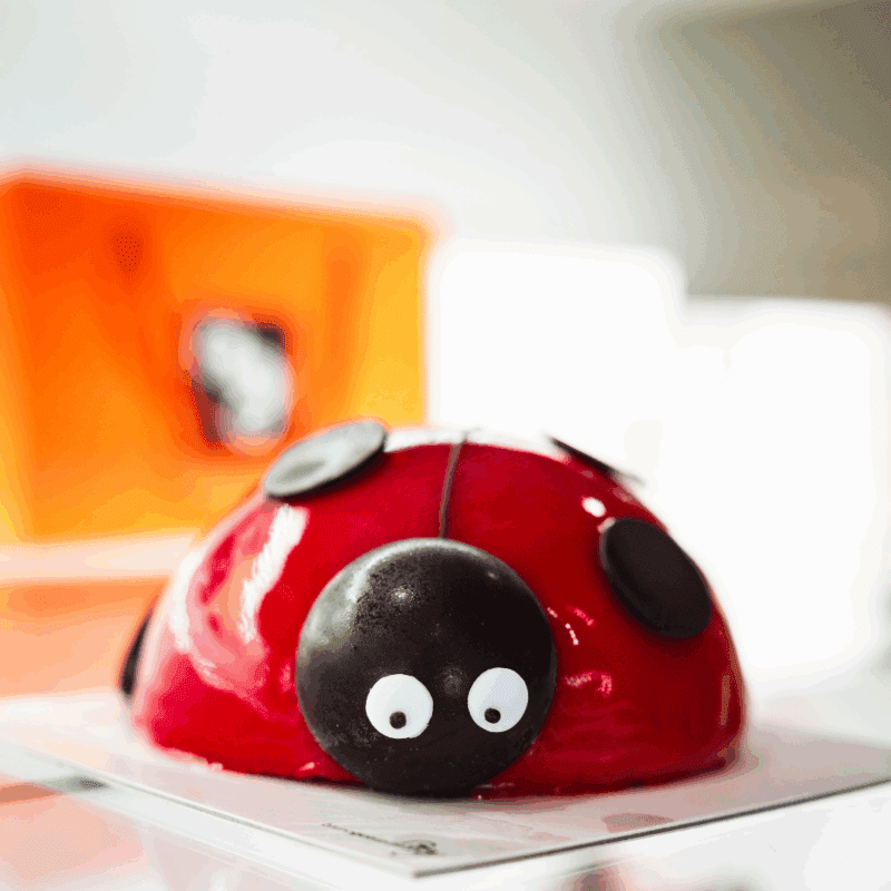 Coccinelle